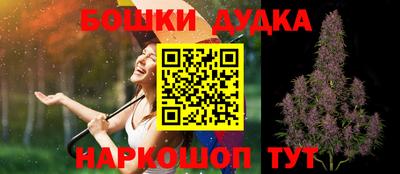 стаф Будённовск